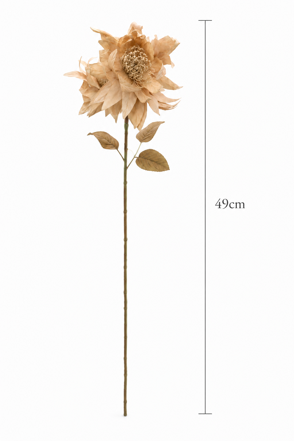 Artificial Protea Flower Stem (one stem) | Dried-Look Luxury Faux Flower | 49 cm | Home Décor