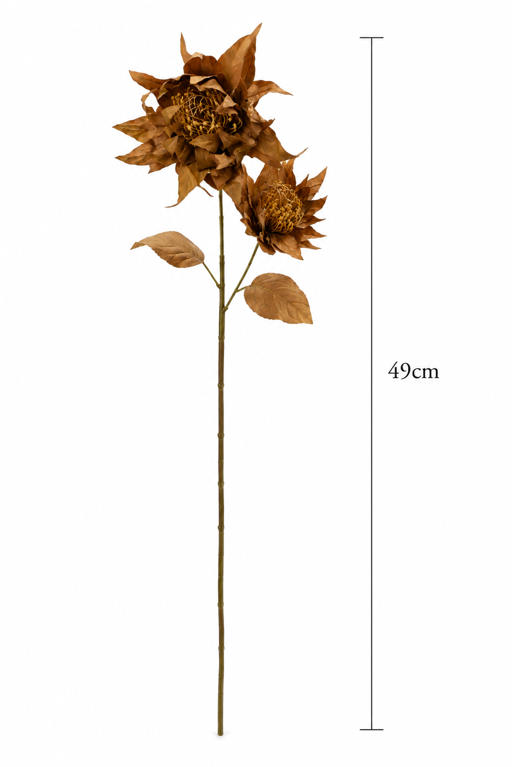 Artificial Protea Flower Stem (one stem) | Dried-Look Luxury Faux Flower | 49 cm | Home Décor