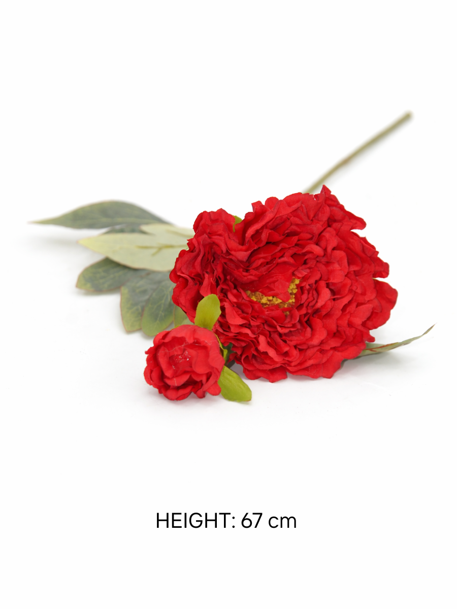 Peony Flower Stems – Pack of 2