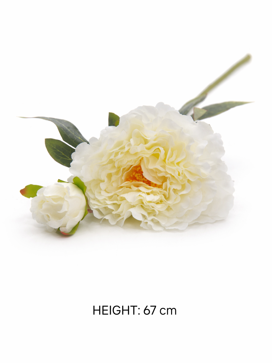 Peony Flower Stems – Pack of 2