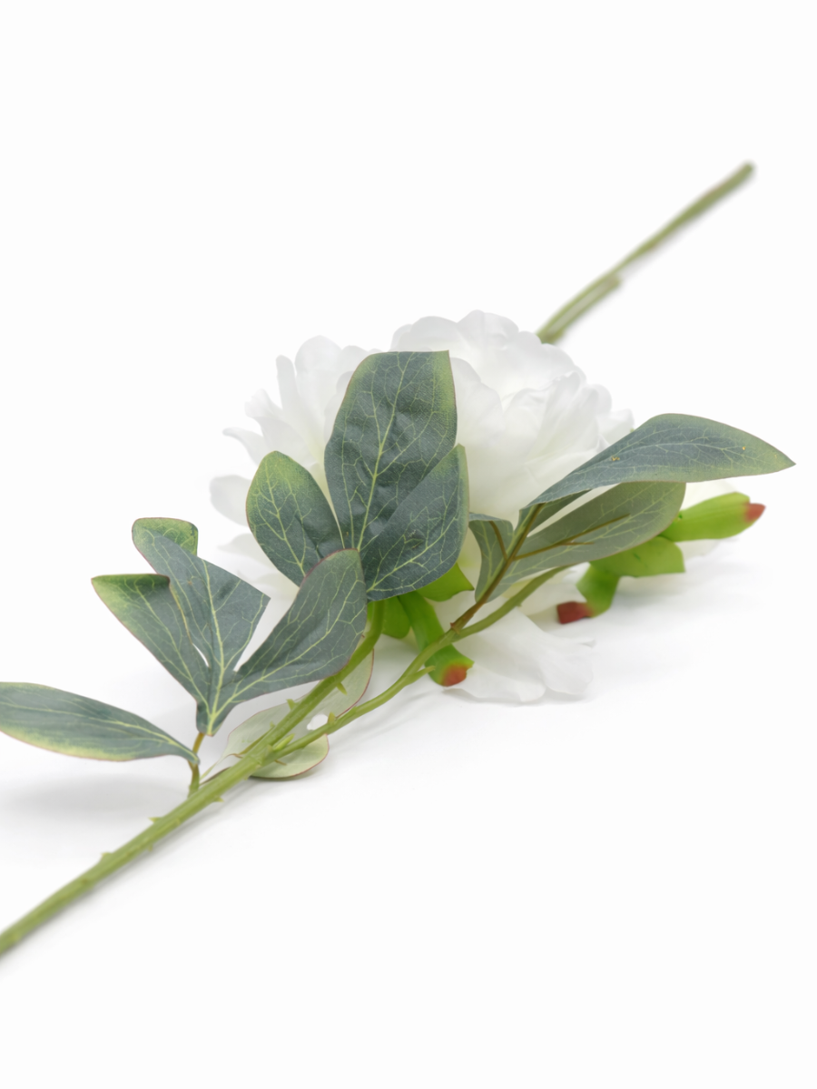 Peony Flower Stems – Pack of 2