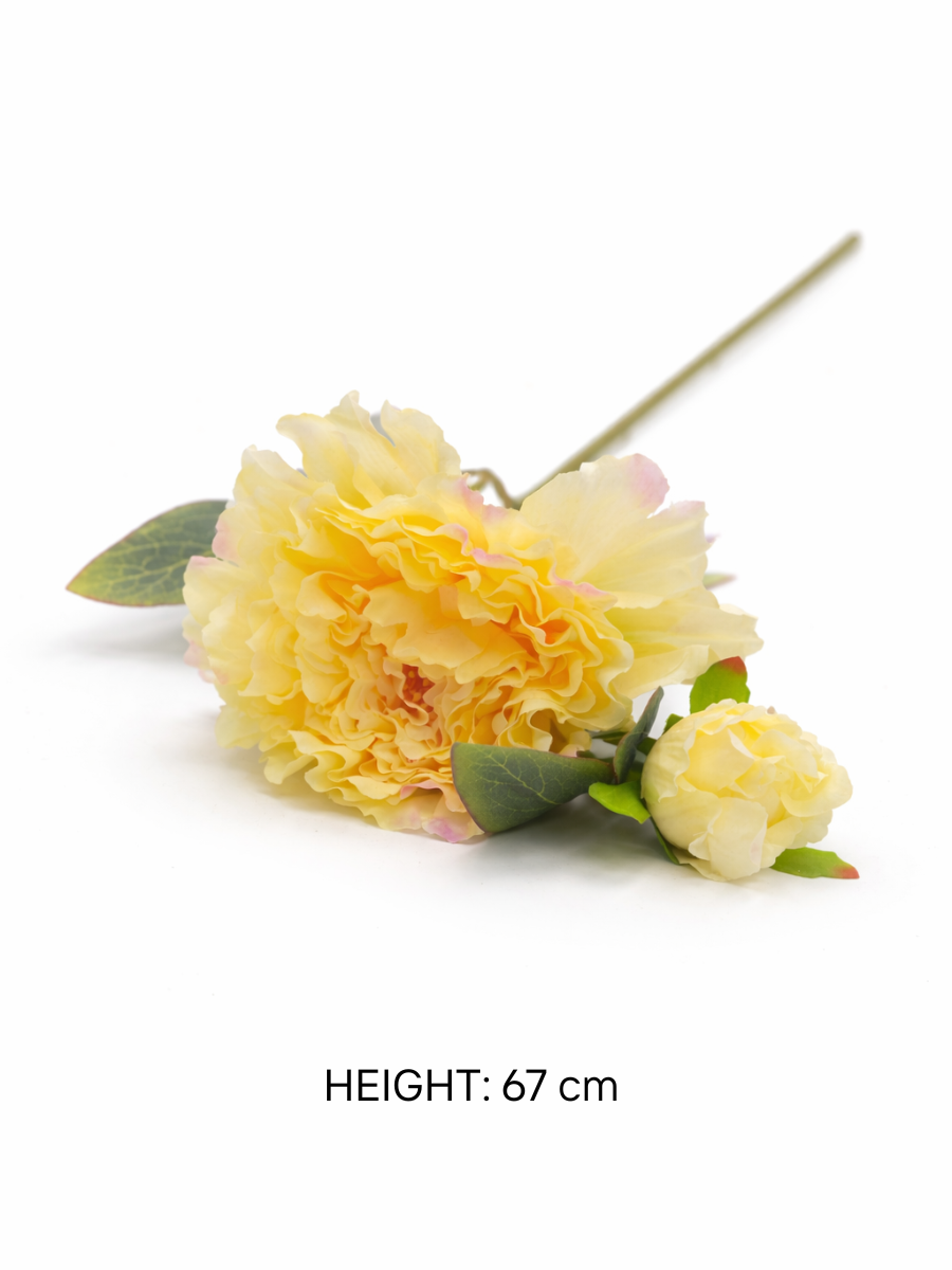 Peony Flower Stems – Pack of 2