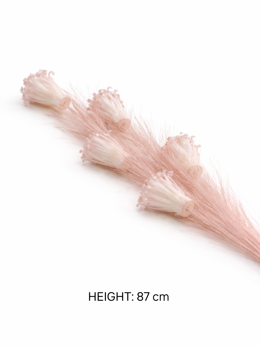 Pack of 2 Imported Decorative Flower Stems | Pearl-tip Pampas | 87 cm
