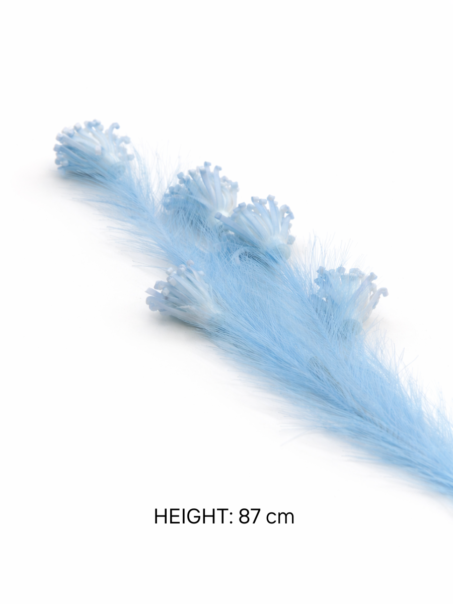 Pack of 2 Imported Decorative Flower Stems | Pearl-tip Pampas | 87 cm