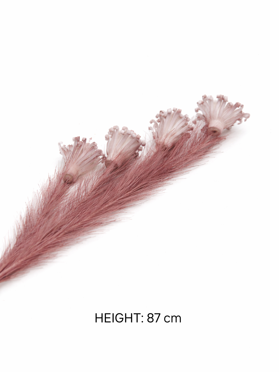 Pack of 2 Imported Decorative Flower Stems | Pearl-tip Pampas | 87 cm