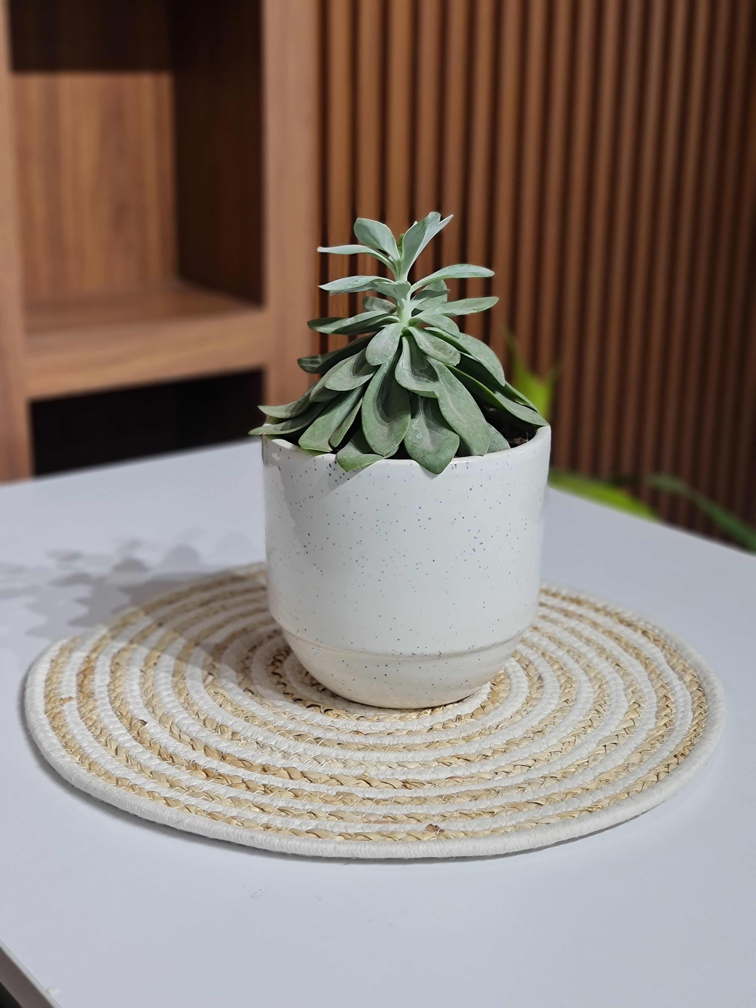 Round Braided Jute Place mats – Set of 2 (Beige & White, 38cm)