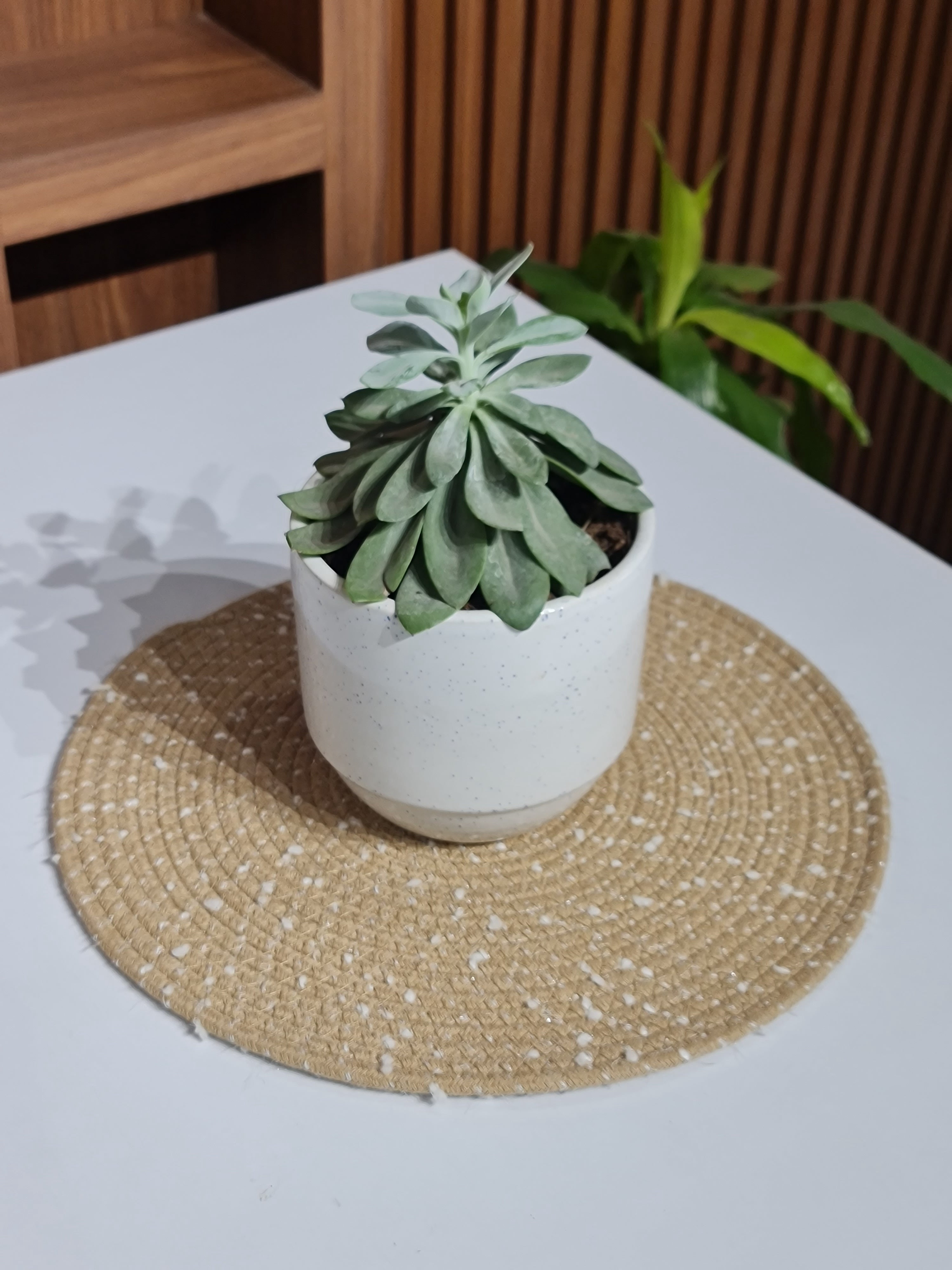 Handwoven Jute Table Mats with White Polka Dots - Set of 2 (38cm)