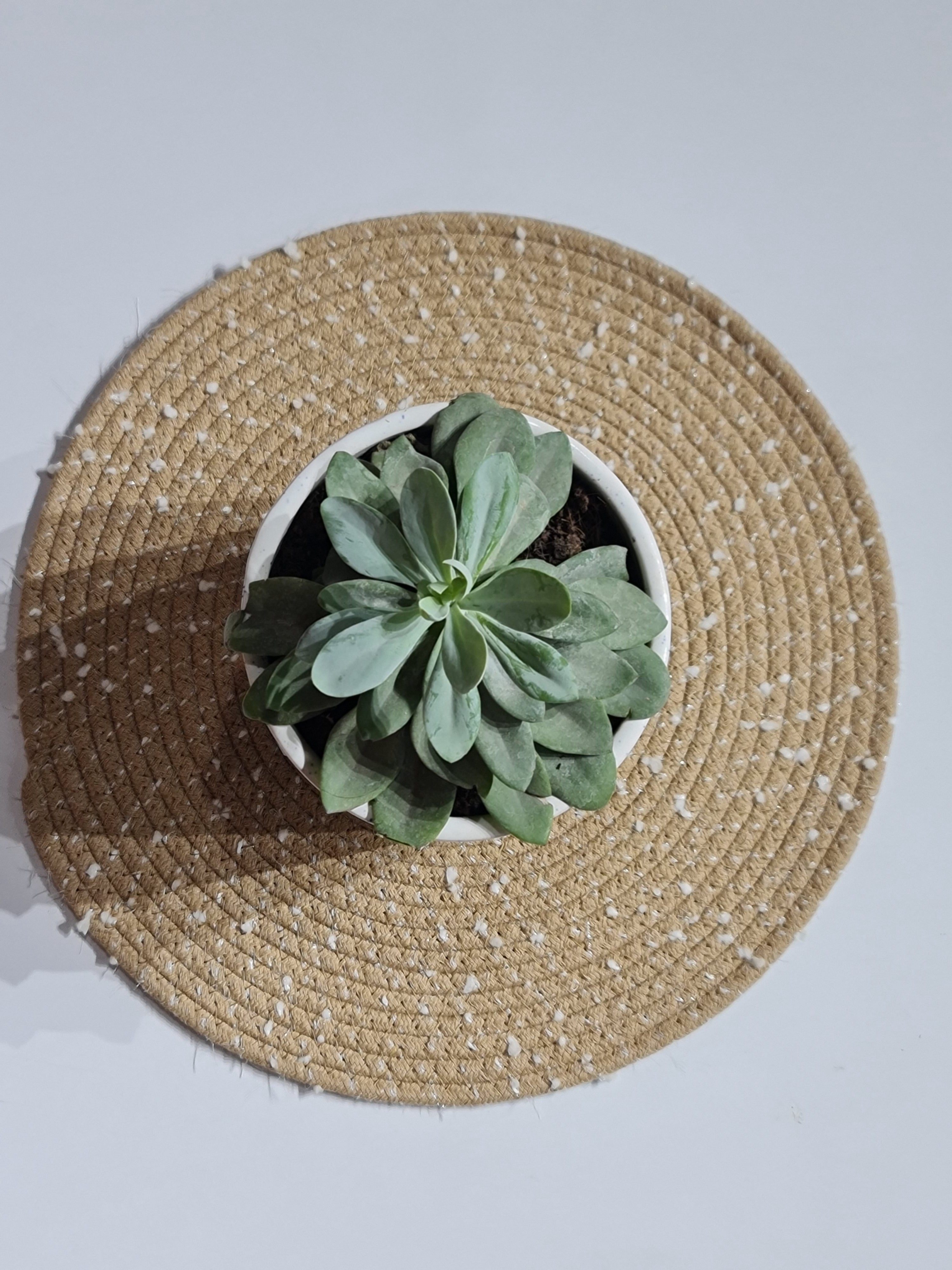 Handwoven Jute Table Mats with White Polka Dots - Set of 2 (38cm)