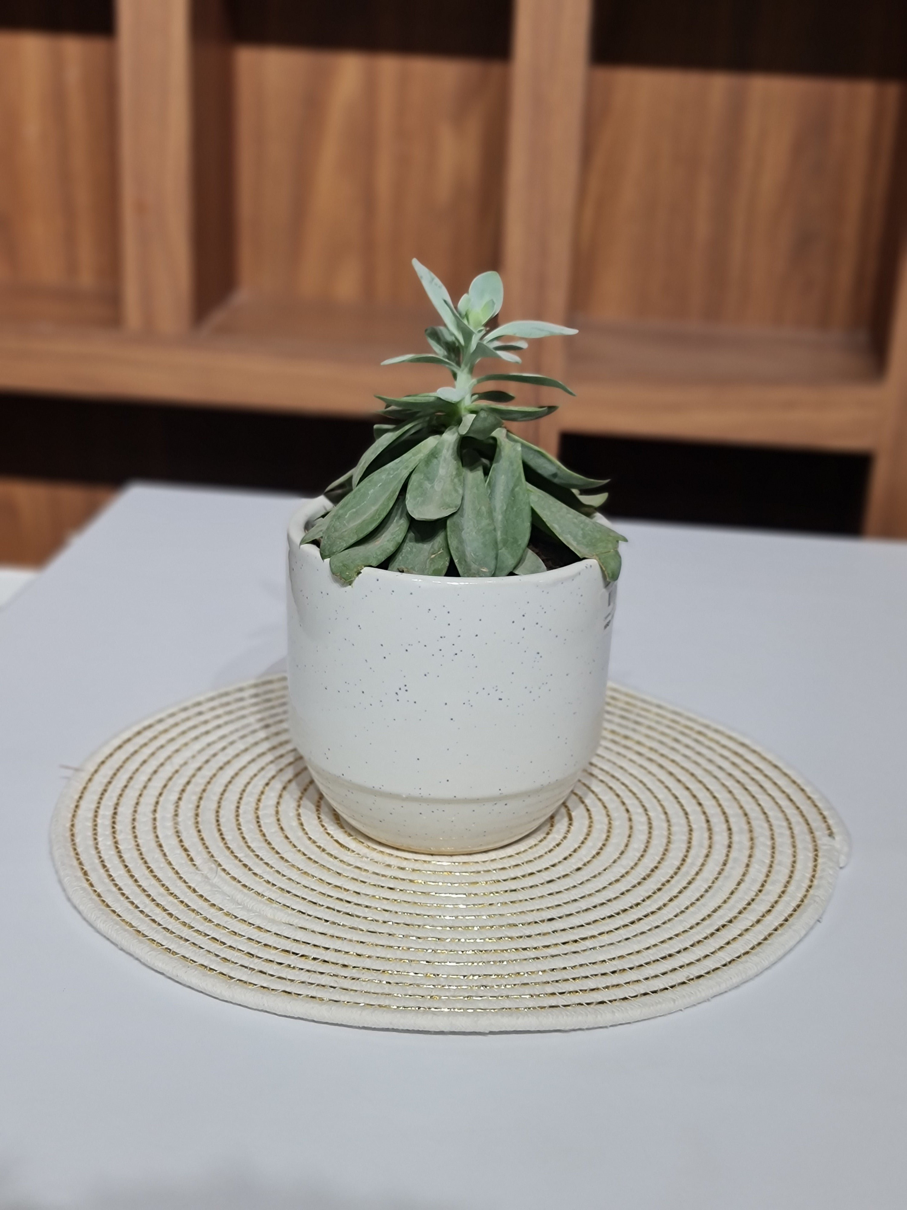 Round White & Gold Zari Table Mats Set of 2 - 38cm