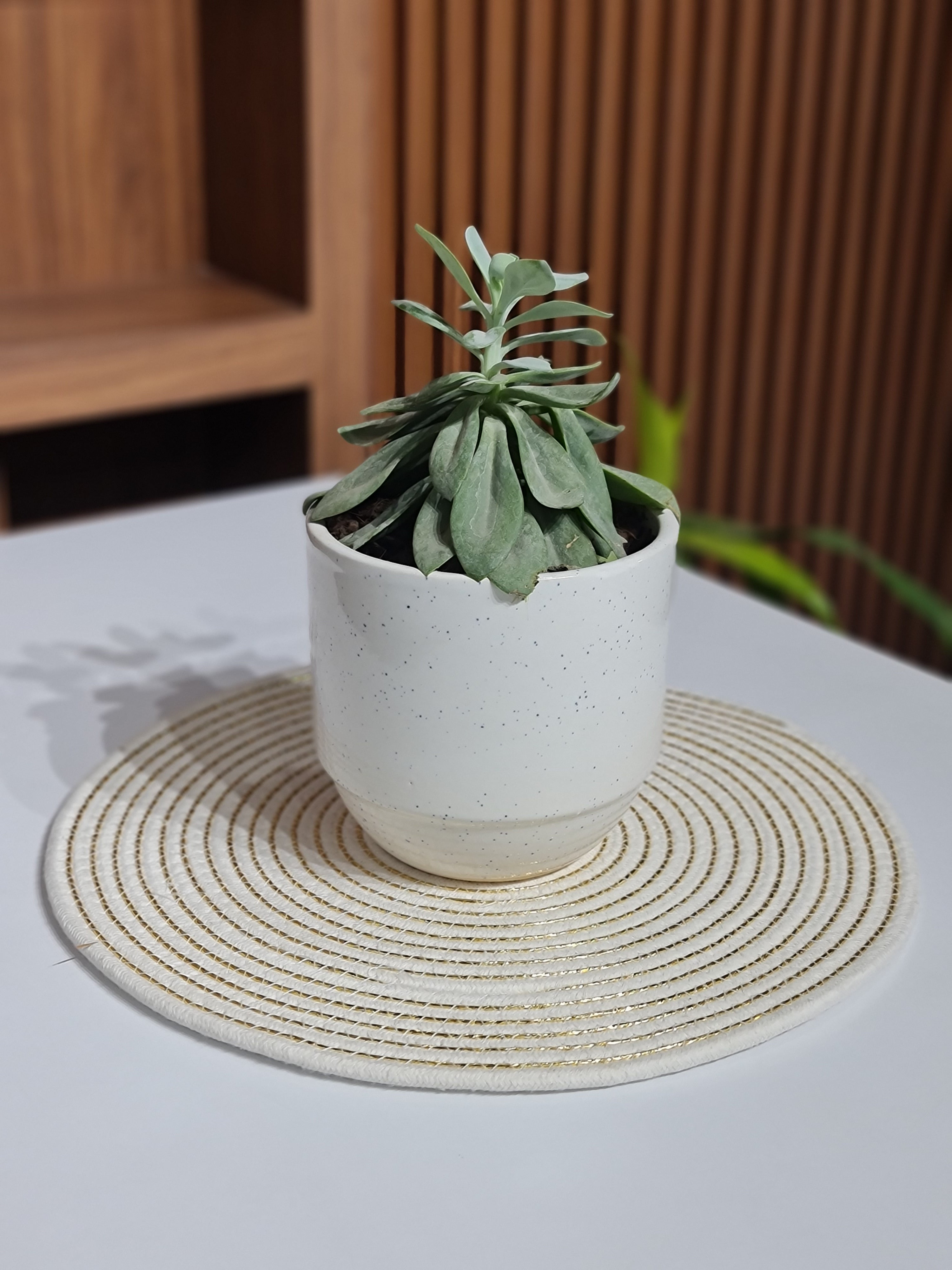 Round White & Gold Zari Table Mats Set of 2 - 38cm